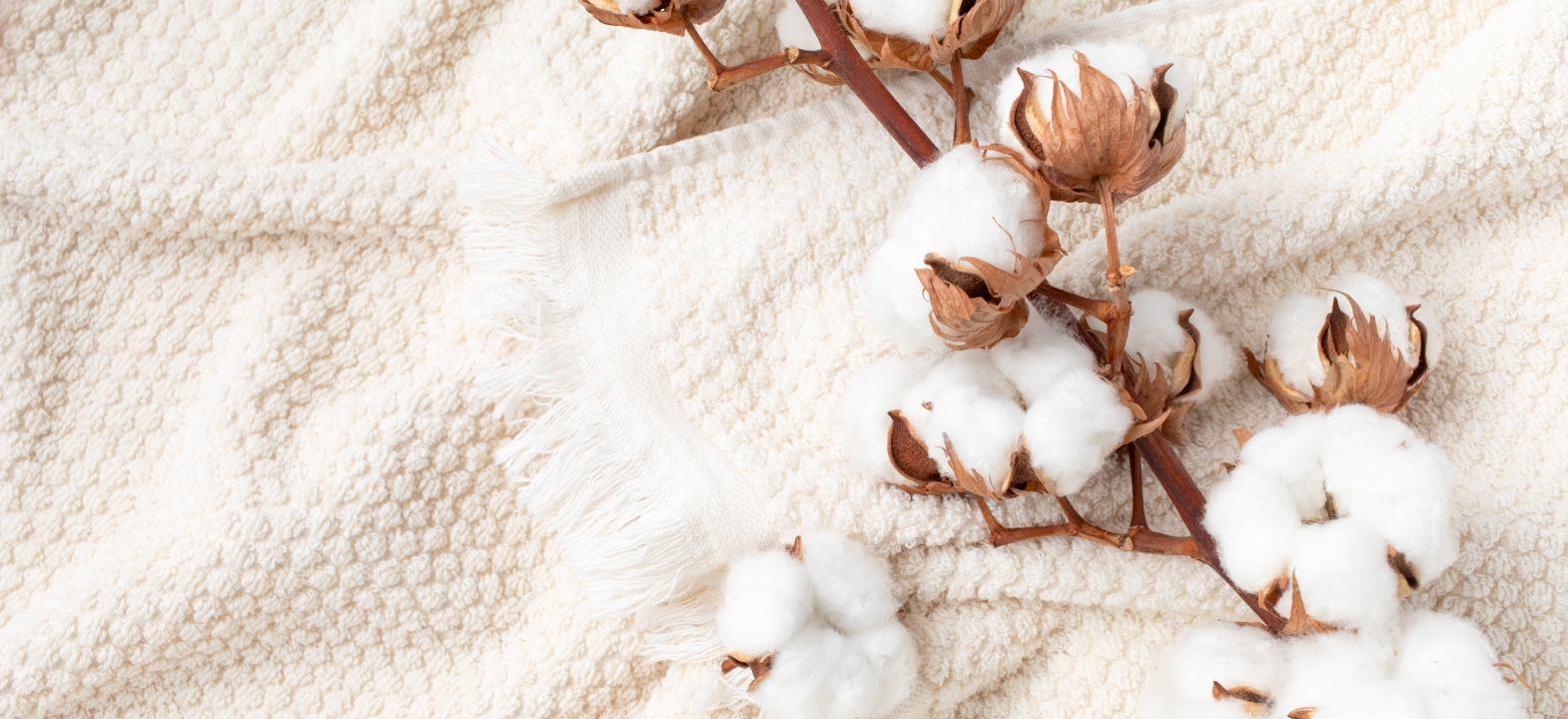 Meltdown blues set to deflate global cotton trade